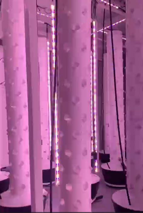 GTG 4-meter vertical hydroponic tower with illumination system